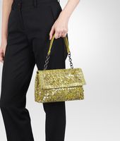 Bottega Veneta® BORSA OLIMPIA NEW CHARTREUSE IN AYERS INTRECCIO TOBU Bottega Veneta® BORSA OLIMPIA NEW CHARTREUSE IN AYERS INTRECCIO TOBU