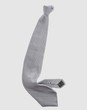GIORGIO ARMANI - Ties