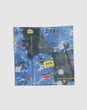 CHRISTIAN DIOR - Foulards