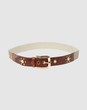 DOLCE & GABBANA - Belts
