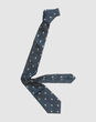 ALEXANDER MCQUEEN - Ties