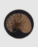 RODA - Boucle de ceinture