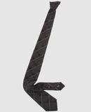 KRIS VAN ASSCHE - Tie