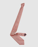BALLANTYNE - Tie