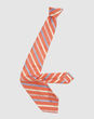 BARBA - true