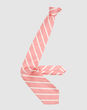 BARBA - true