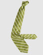 BARBA - true