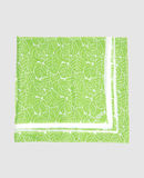 DIANE VON FURSTENBERG - Foulard