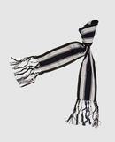 GUCCI - Scarf