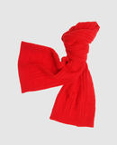 ALEXANDER MCQUEEN - Scarf