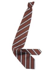 ERMENEGILDO ZEGNA - Cravate