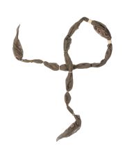 TRUNK - Sciarpa