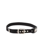 DOLCE & GABBANA - Belt