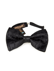 ROBERTO CAVALLI - Tie