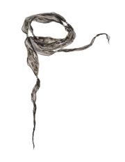 ROBERTO CAVALLI - Oblong scarf