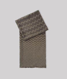 ARMANI COLLEZIONI - Scarf
