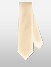 ERMENEGILDO ZEGNA - Tie