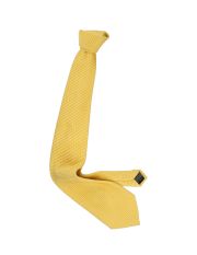 ERMENEGILDO ZEGNA - Tie