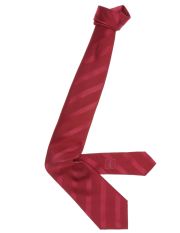 BRIONI - Tie