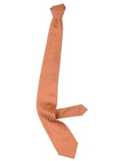 CORNELIANI - Tie