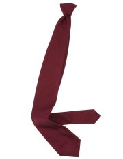 CORNELIANI - Tie