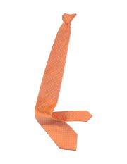 ERMENEGILDO ZEGNA - Cravatta