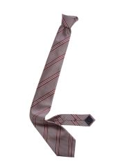 ERMENEGILDO ZEGNA - Cravatta