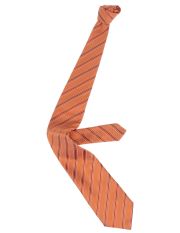ERMENEGILDO ZEGNA - Tie