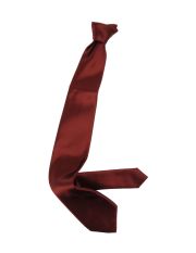 CORNELIANI - Tie
