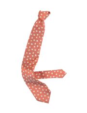 ERMENEGILDO ZEGNA - Tie