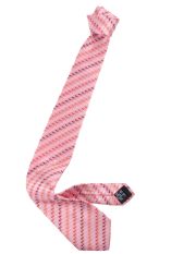 AQUASCUTUM - ネクタイ