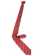 LES COPAINS - Tie
