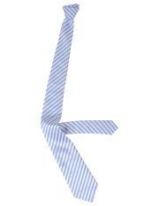 LES COPAINS - Tie