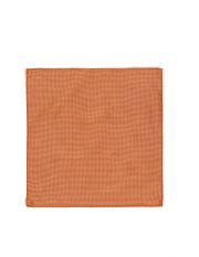 LES COPAINS - Foulard