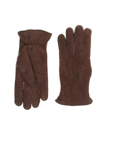 ZOOM ALPO - Gloves
