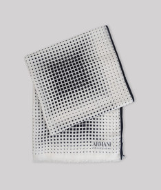 ARMANI COLLEZIONI - Scarf