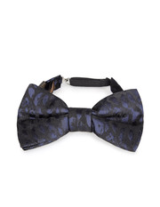 ROBERTO CAVALLI - Bow tie