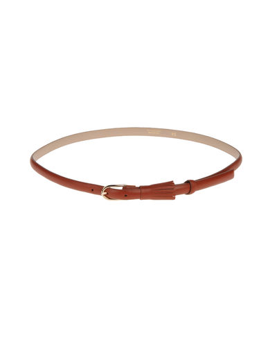 ZOOM GOLD CASE - Belt