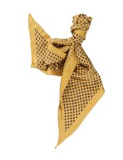 GOLDEN GOOSE - Oblong scarf