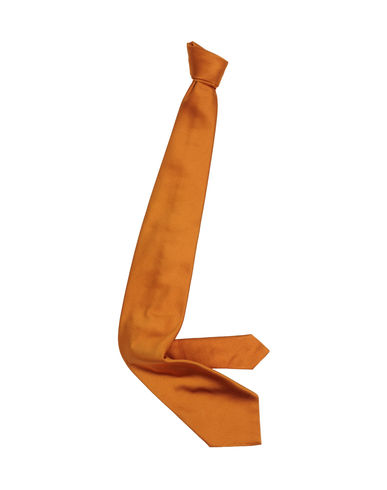 ZOOM FAÇONNABLE - Tie