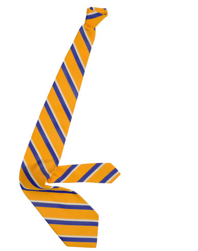 ZOOM POLO RALPH LAUREN - Tie