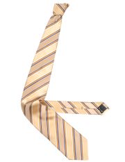 ERMENEGILDO ZEGNA - Tie