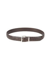 ORCIANI - Belt