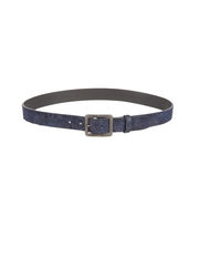 CLOSED - Belt