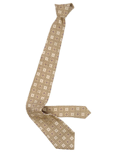 ZOOM ETRO - Tie