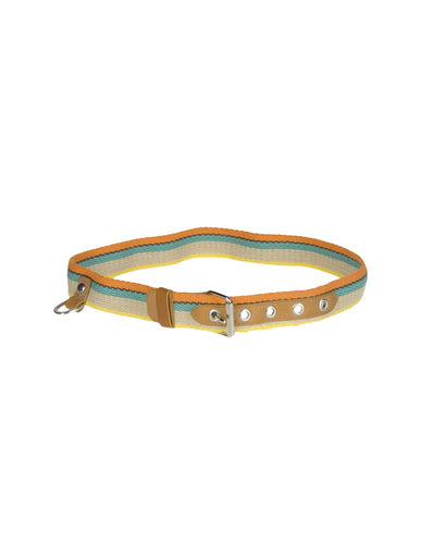 ZOOM HOGAN - Belt