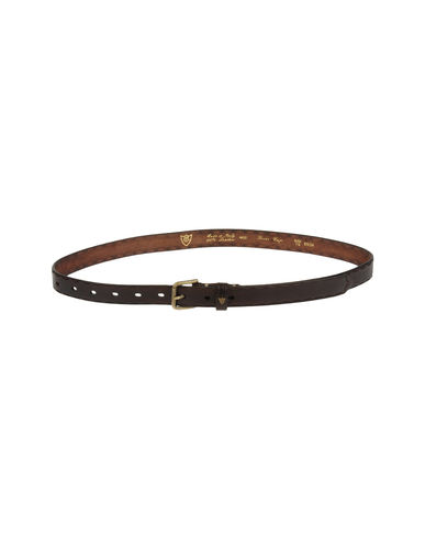 ZOOM HTC - Belt