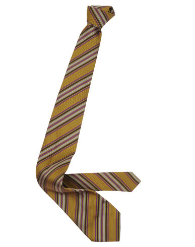 ZOOM ETRO - Tie