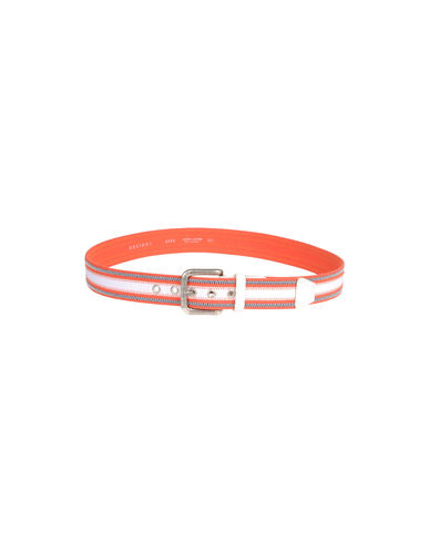ZOOM ORCIANI - Belt