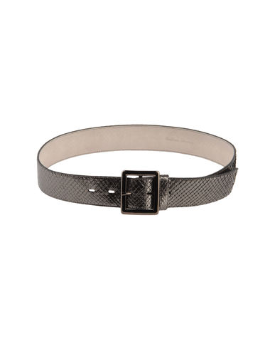 ZOOM HTC - Belt